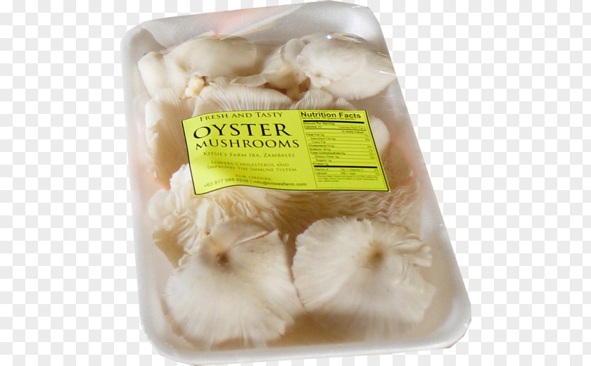 Mushroom Oyster Punjabi Cuisine Vegetarian PNG