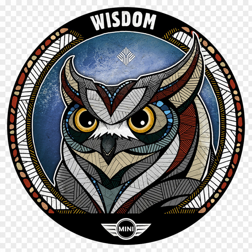 Owl Drawing Illustrator Art PNG