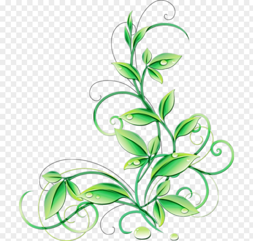 Plant Stem Grass Green Background PNG