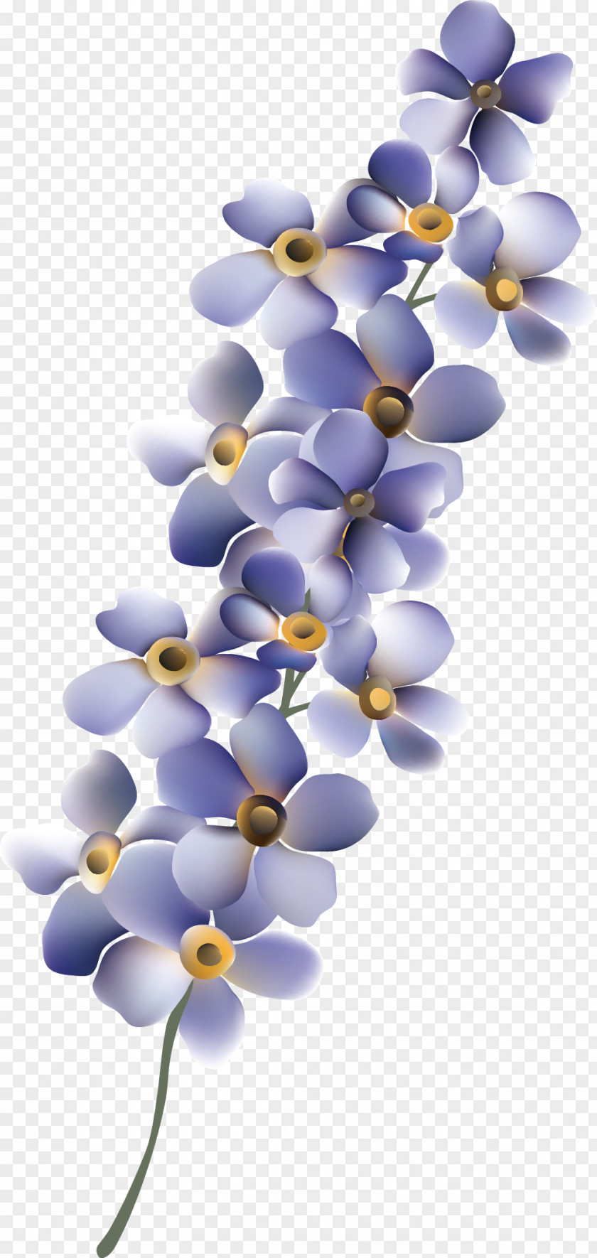 Purple Flowers Flower PNG