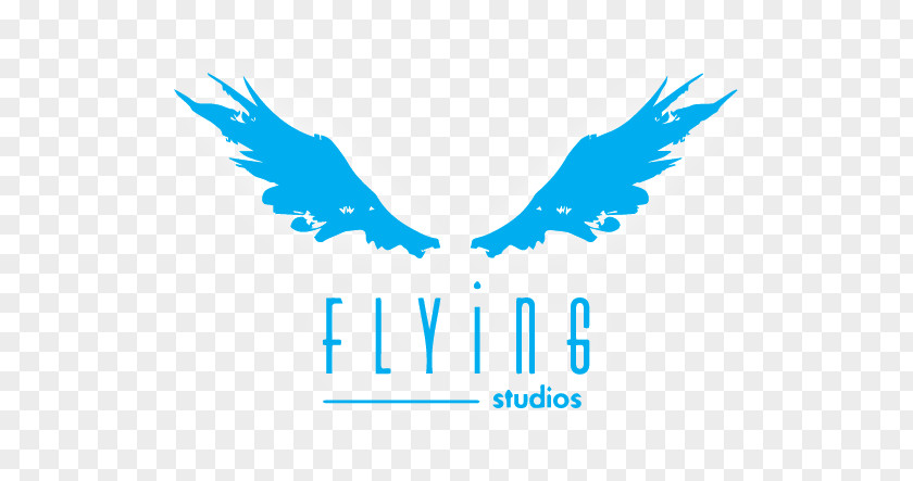 Yoga Flying Studios Desktop Wallpaper Fitness Centre PNG