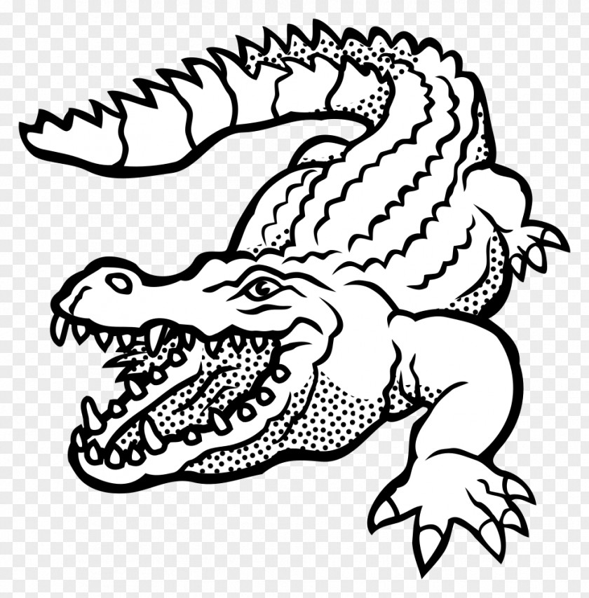 Crocodile Alligators Clip Art Drawing PNG