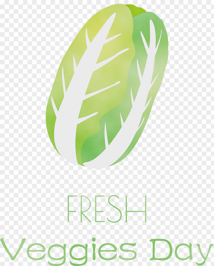 Leaf Logo Font Green Meter PNG