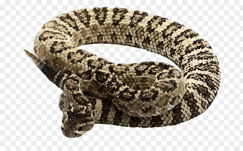 Samuel L Jackson Rattlesnake Reptile Vipers Great Basin PNG