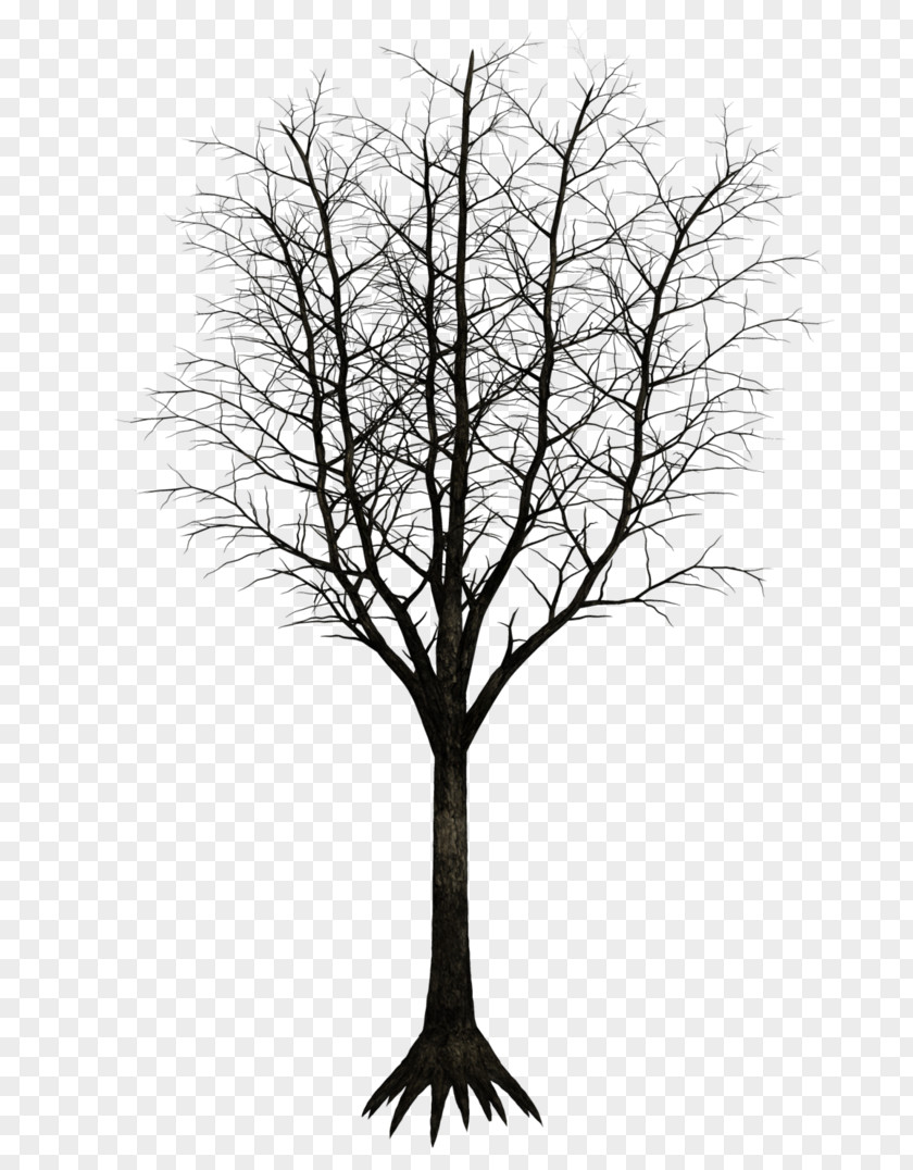 Share Tree Drawing Desktop Wallpaper PNG