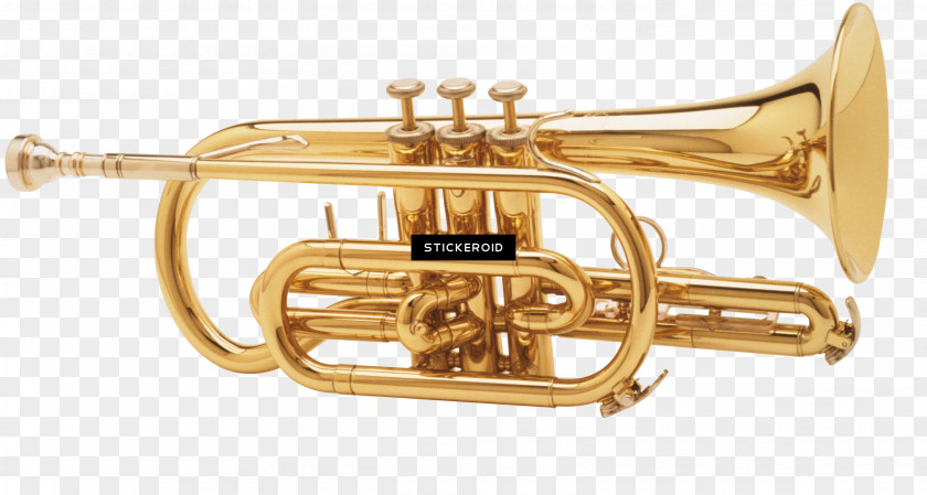 Bugle Horn Brass Instruments PNG