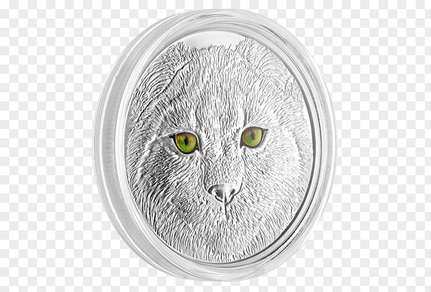 Canada Tabby Cat Whiskers Silver Eye PNG