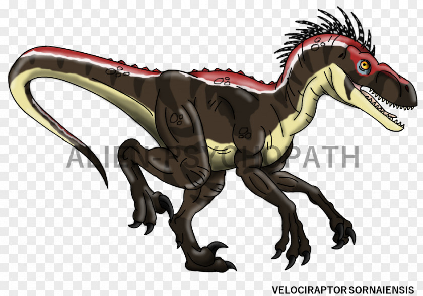 Dinosaur Velociraptor Tyrannosaurus Dilophosaurus Spinosaurus Utahraptor PNG