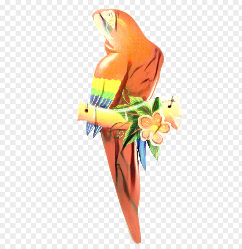 Macaw Parakeet Beak Illustration Pet PNG