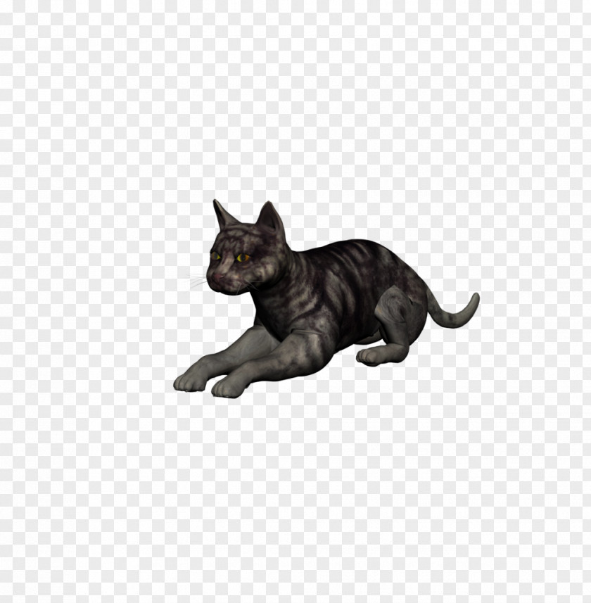 Cat Whiskers Figurine PNG