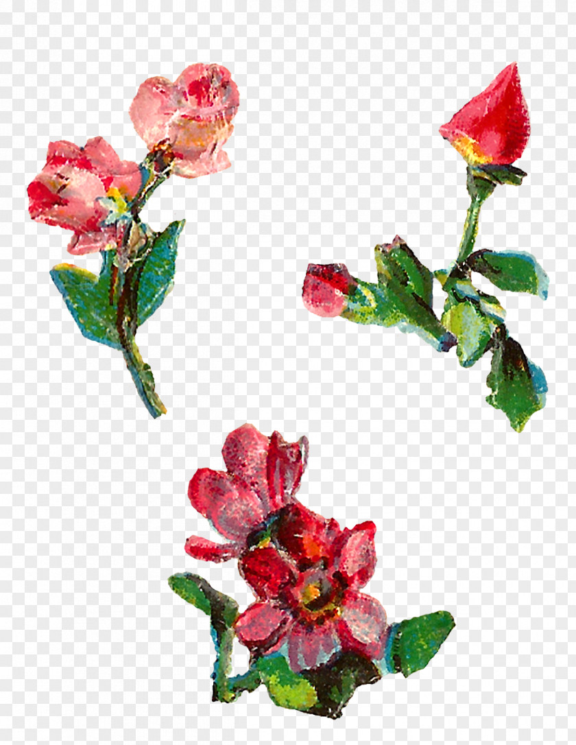 Flower Garden Roses Floral Design Artificial PNG