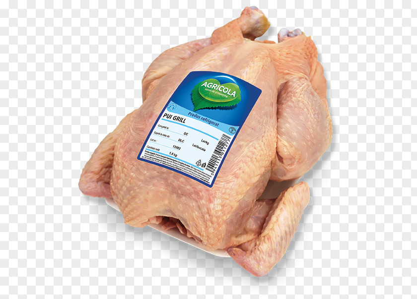 HoReCa Film Poster Information Turkey Ham Foodstuffs PNG