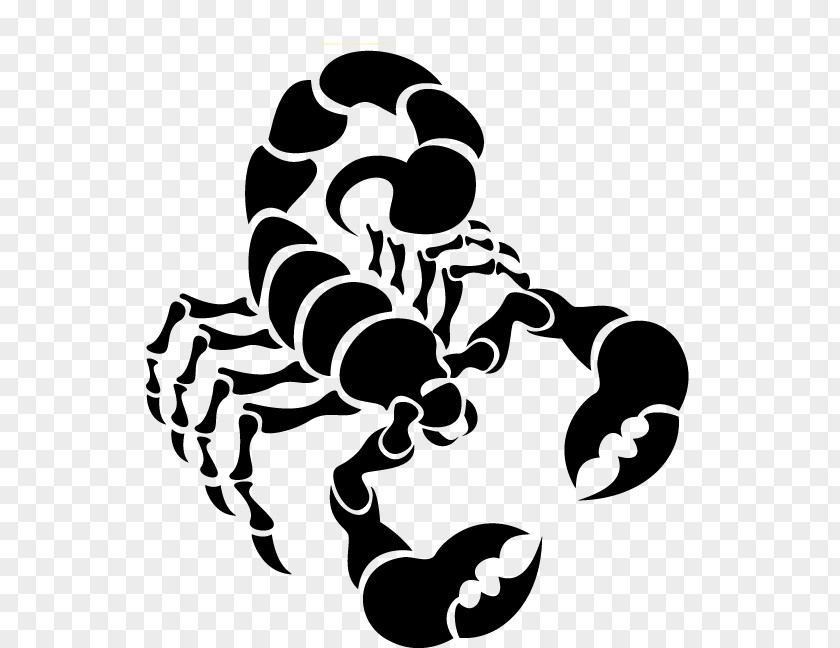 Scorpions Scorpion Euclidean Vector Clip Art PNG