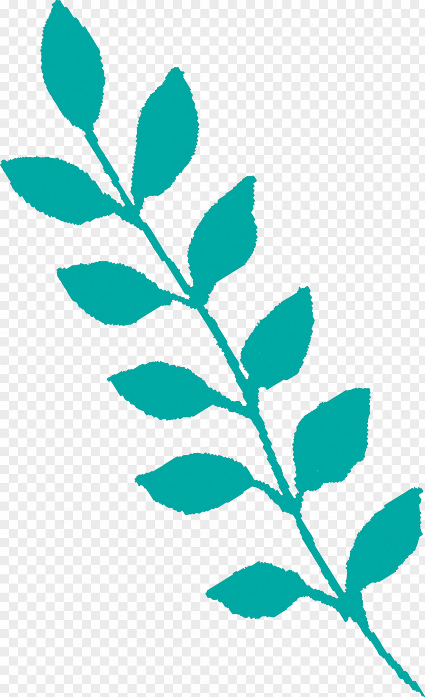 Leaf Plant Flower Tree Twig PNG