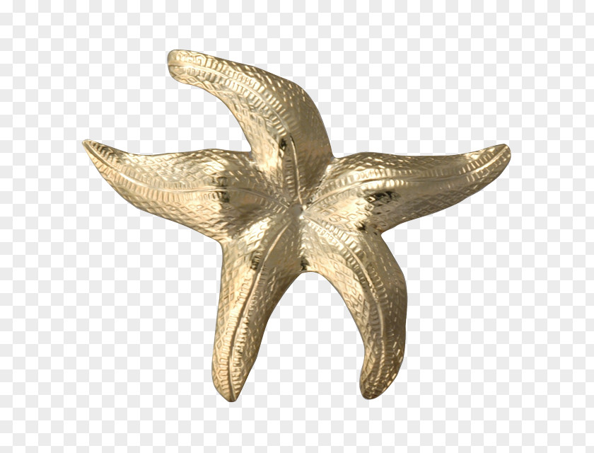 Sold Out Hawk Starfish Bail Charms & Pendants Clothing Pin PNG