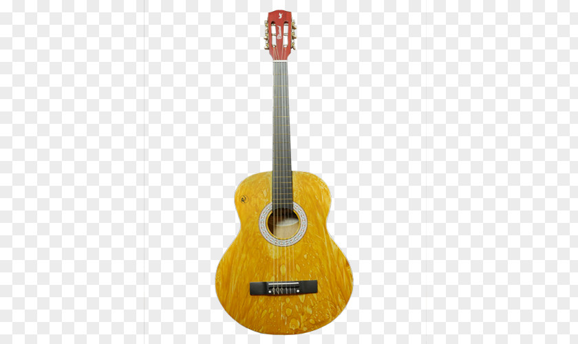 Acoustic Guitar Tiple Acoustic-electric Classical PNG