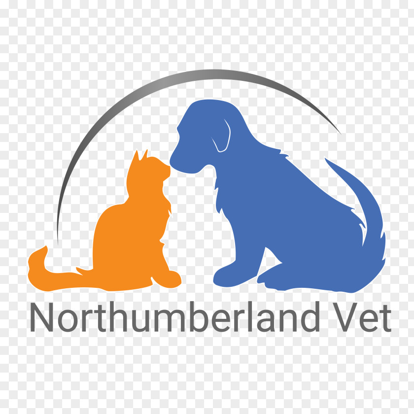 Dog Veterinary Medicine Veterinarian Pet Cat PNG