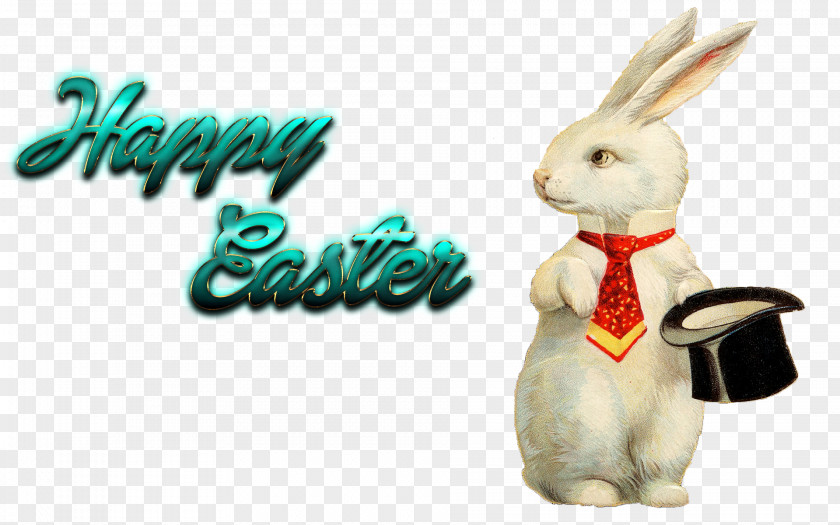 Eater Easter Bunny Postcard Greeting & Note Cards Egg PNG