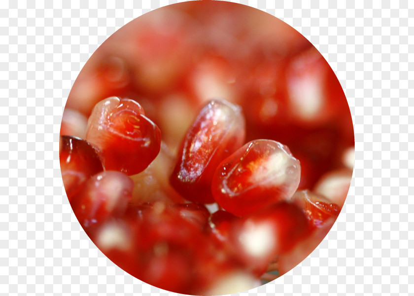 Fresh Pomegranate Cranberry Close-up PNG