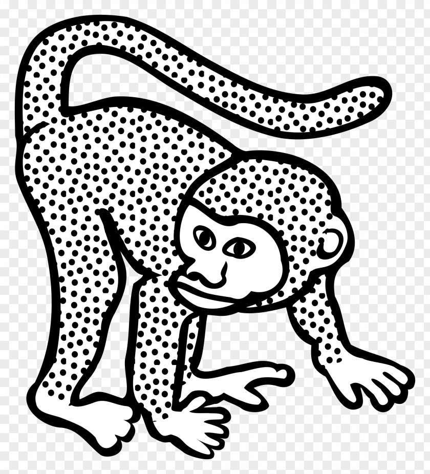 Monkey Line Art Drawing Clip PNG