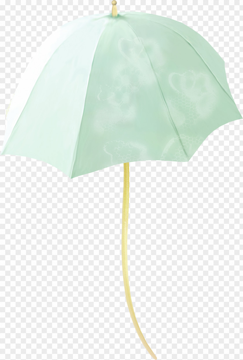 Open Green Parasol Umbrella Pattern PNG