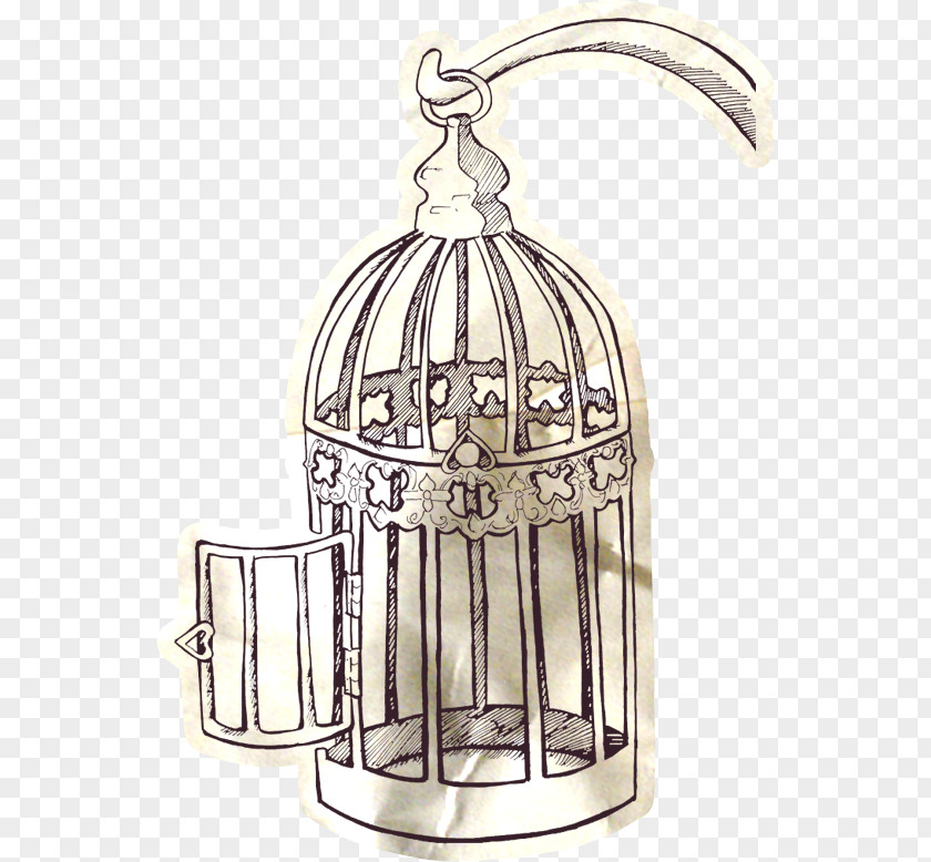 Bird Birdcage Drawing PNG