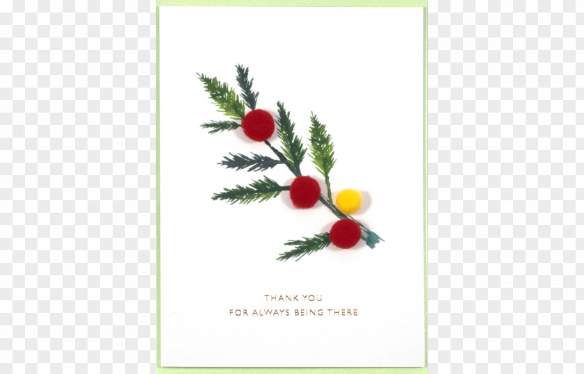 Design Greeting & Note Cards Christmas Ornament Floral PNG