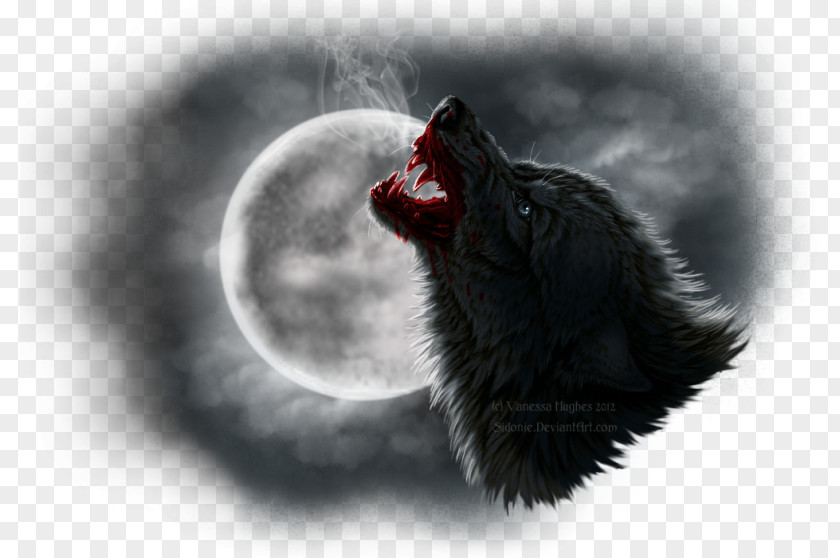 Dog Werewolf Jacob Black Art Aullido PNG
