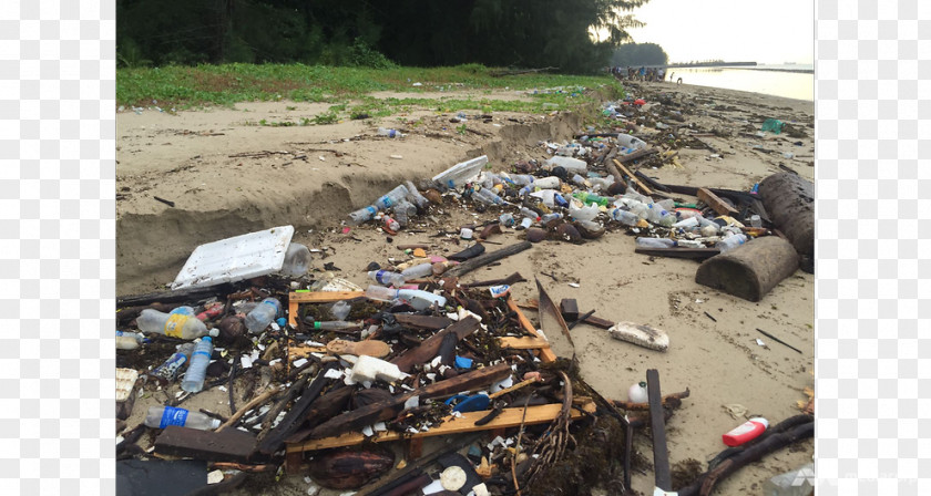 Garbage Cleaning Waste Tanah Merah Beach Plastic Bag PNG
