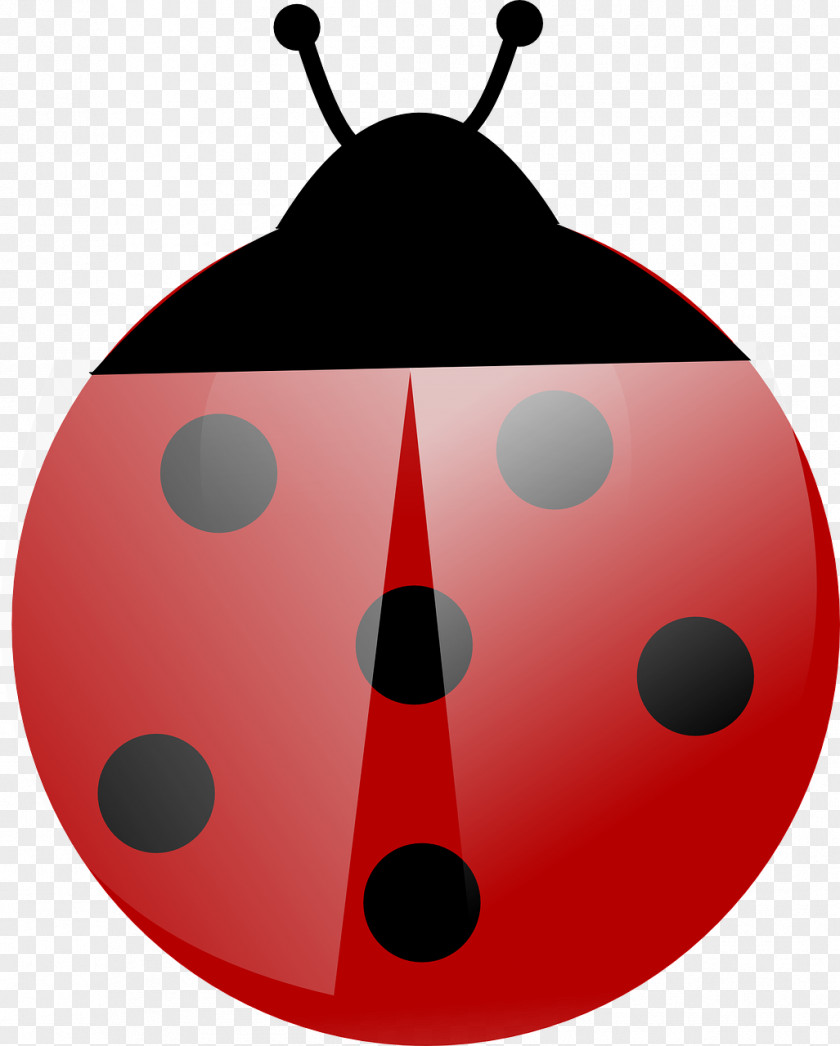 Ladybug Beetle Ladybird Clip Art PNG