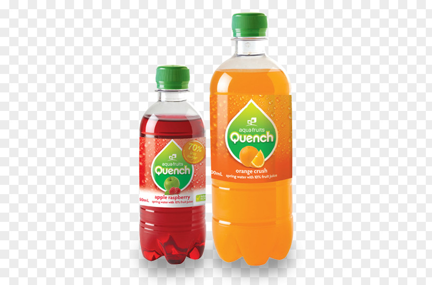 Quench Juice Fizzy Drinks Orange Drink Carbonated Water PNG