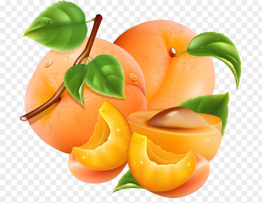 Apricots Pattern Apricot Auglis Peach Orange Vegetable PNG