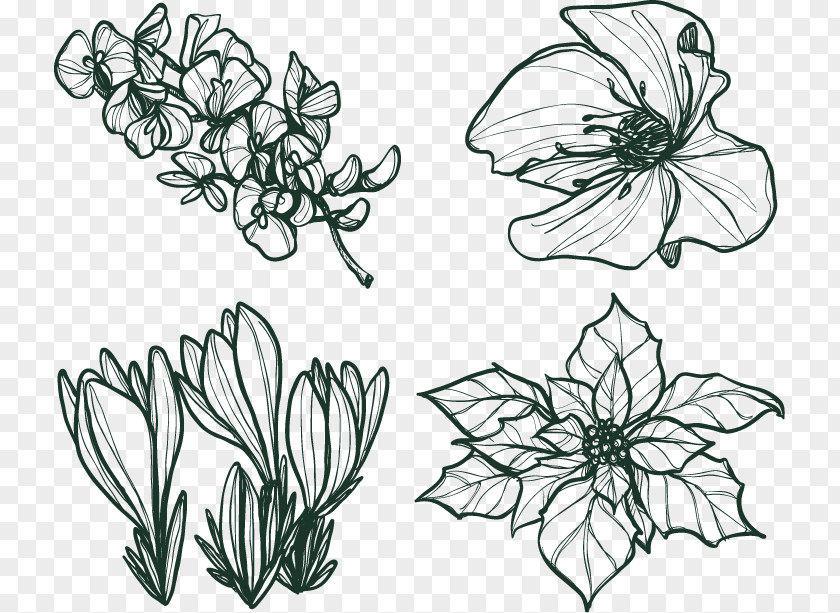 Four Kinds Of Hand-painted Flower Pattern Winter Euclidean Vector Poinsettia PNG
