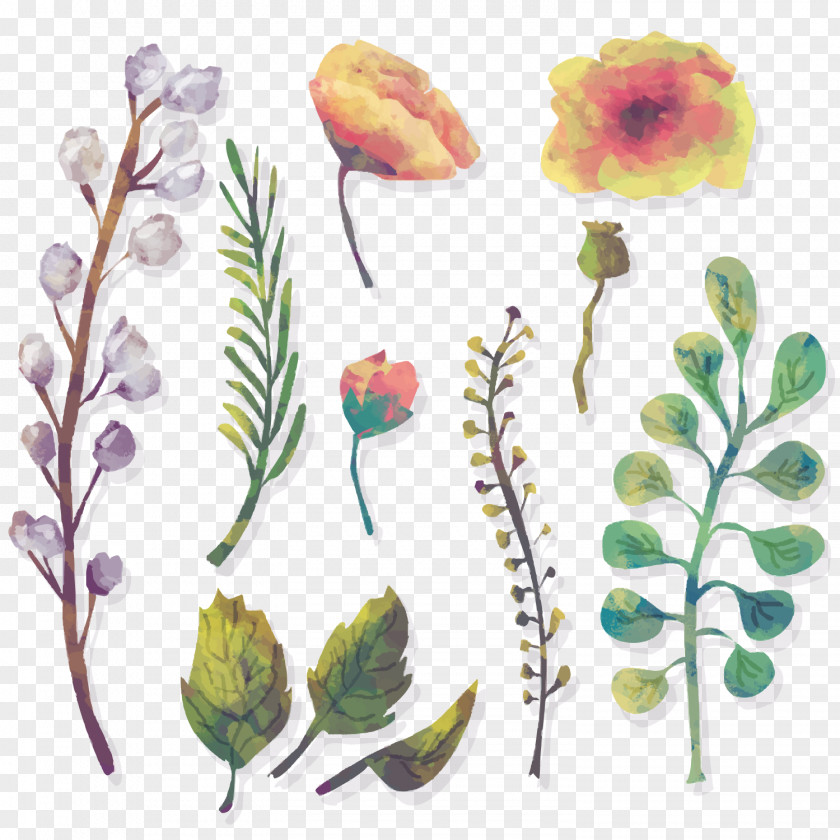 11 Models Of Water Colored Flowers And Foliage Vector Material Watercolor: Watercolour Watercolor Painting PNG