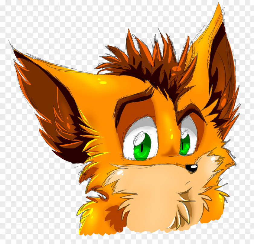 Crash Bandicoot Art Cat Drawing PNG