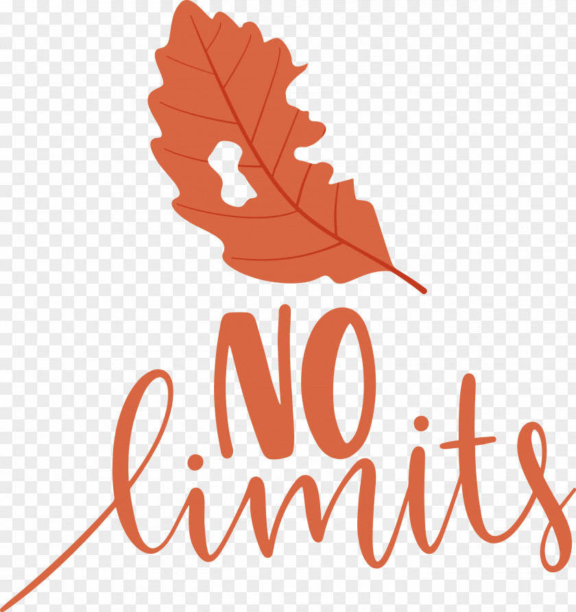 No Limits Dream Future PNG