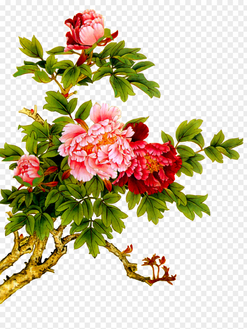 Peony China Chinese Painting Art PNG