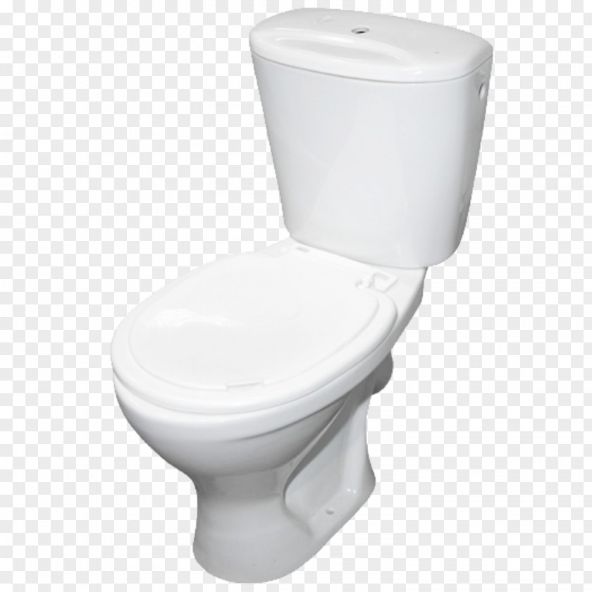 Toilet Seat & Bidet Seats Flush Plumbing Fixtures Bathroom Squat PNG
