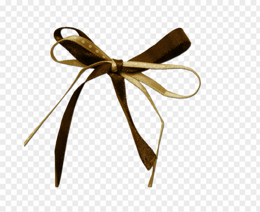 Bow Photos Designer PNG