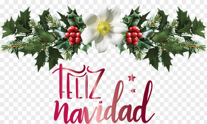 Feliz Navidad Merry Christmas PNG