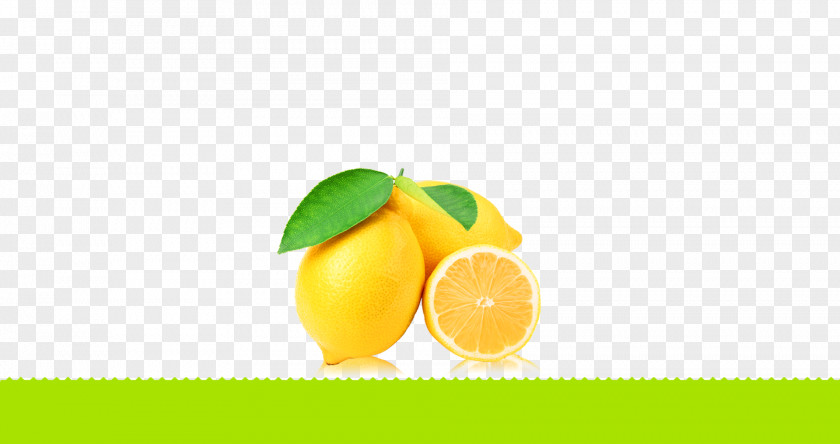 Fresh Lemon Background Material Squeezer Lime Orange Peel PNG