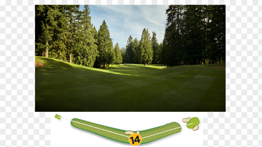 Golf Clubs Course Lawn PNG