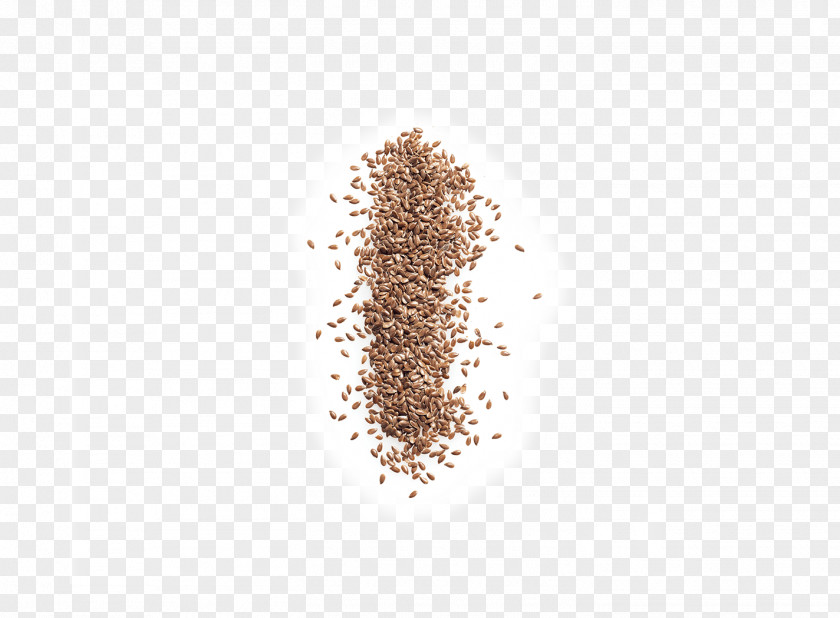 Seeds Commodity PNG