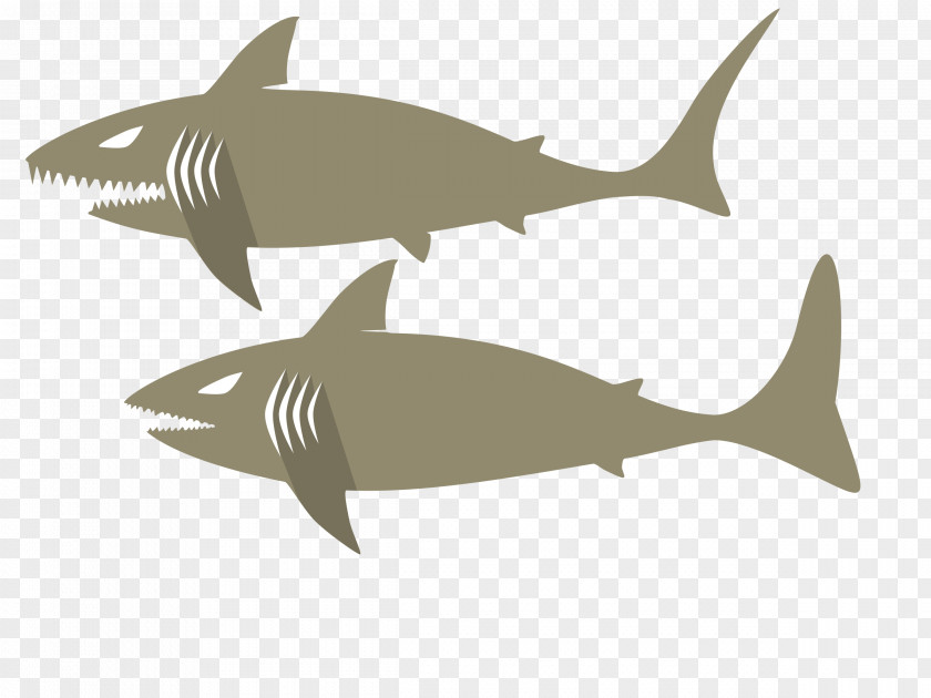 Shark Clip Art Image Graphics Openclipart PNG