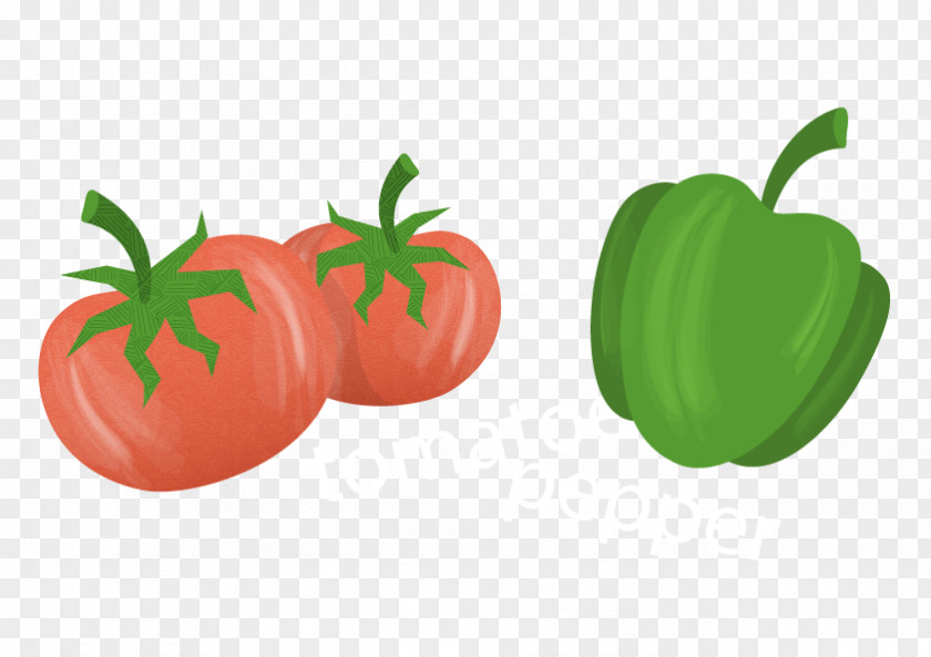 Tomato Pepper Capsicum Ingredients Vector Bell Paprika PNG