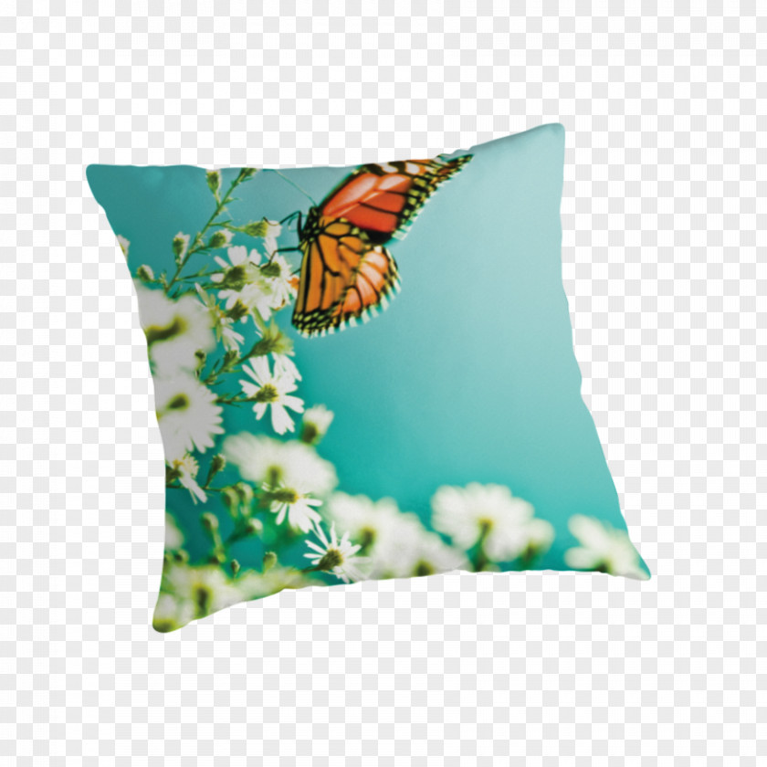 Butterfly Aestheticism Insect Throw Pillows Turquoise Cushion PNG