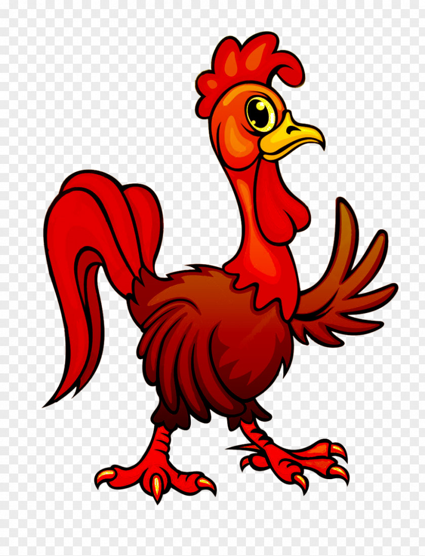 Chicken Rooster Illustration Vector Graphics Drawing PNG