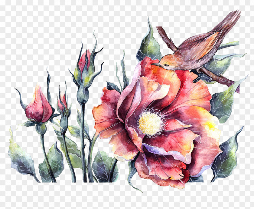 Drawing Peony And Birds Bird Watercolor Painting Floral Design Illustration PNG