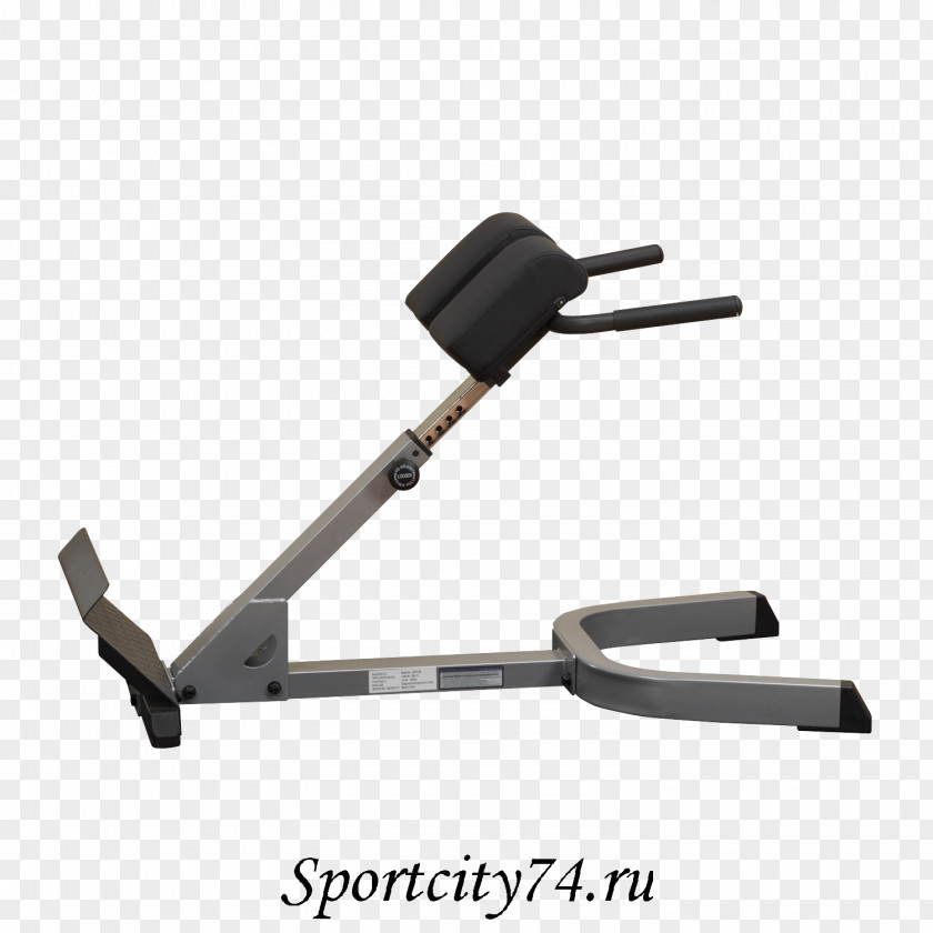 Dumbbell Hyperextension Roman Chair Bench Exercise Equipment PNG