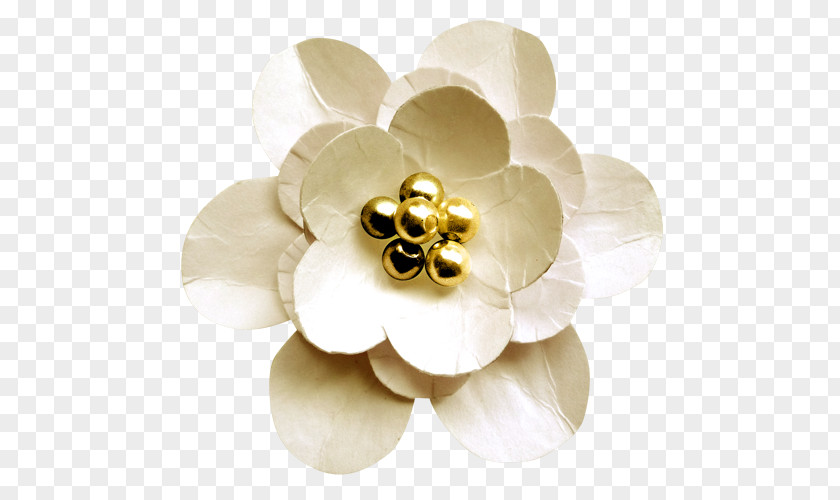 Flower Paper White PNG